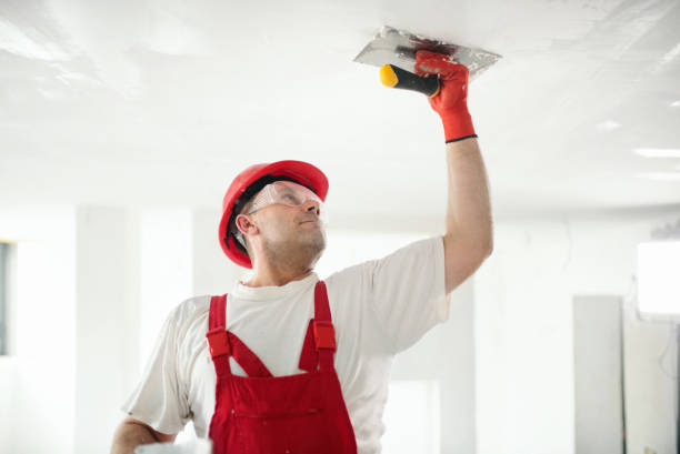 St Francis, WI Painting & Drywall Installation Company